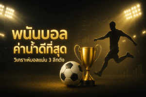 พนันบอล ค่าน้ำดีที่สุด
